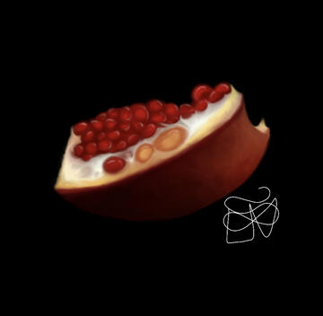 Pomegranate
